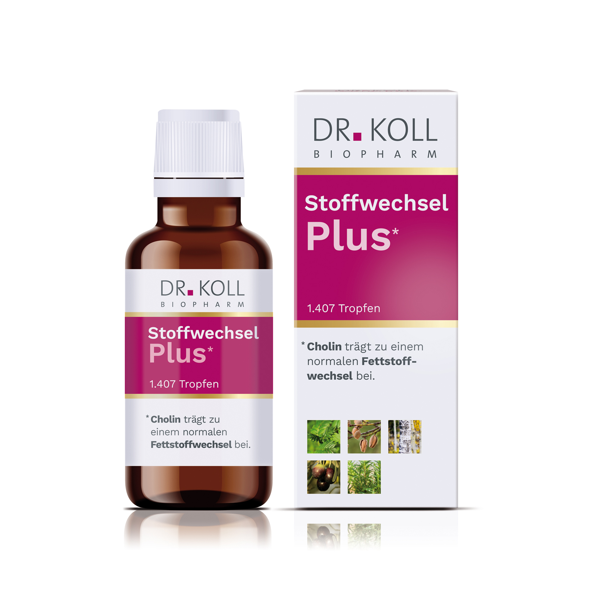 Koll Biopharm Stoffwechsel Plus